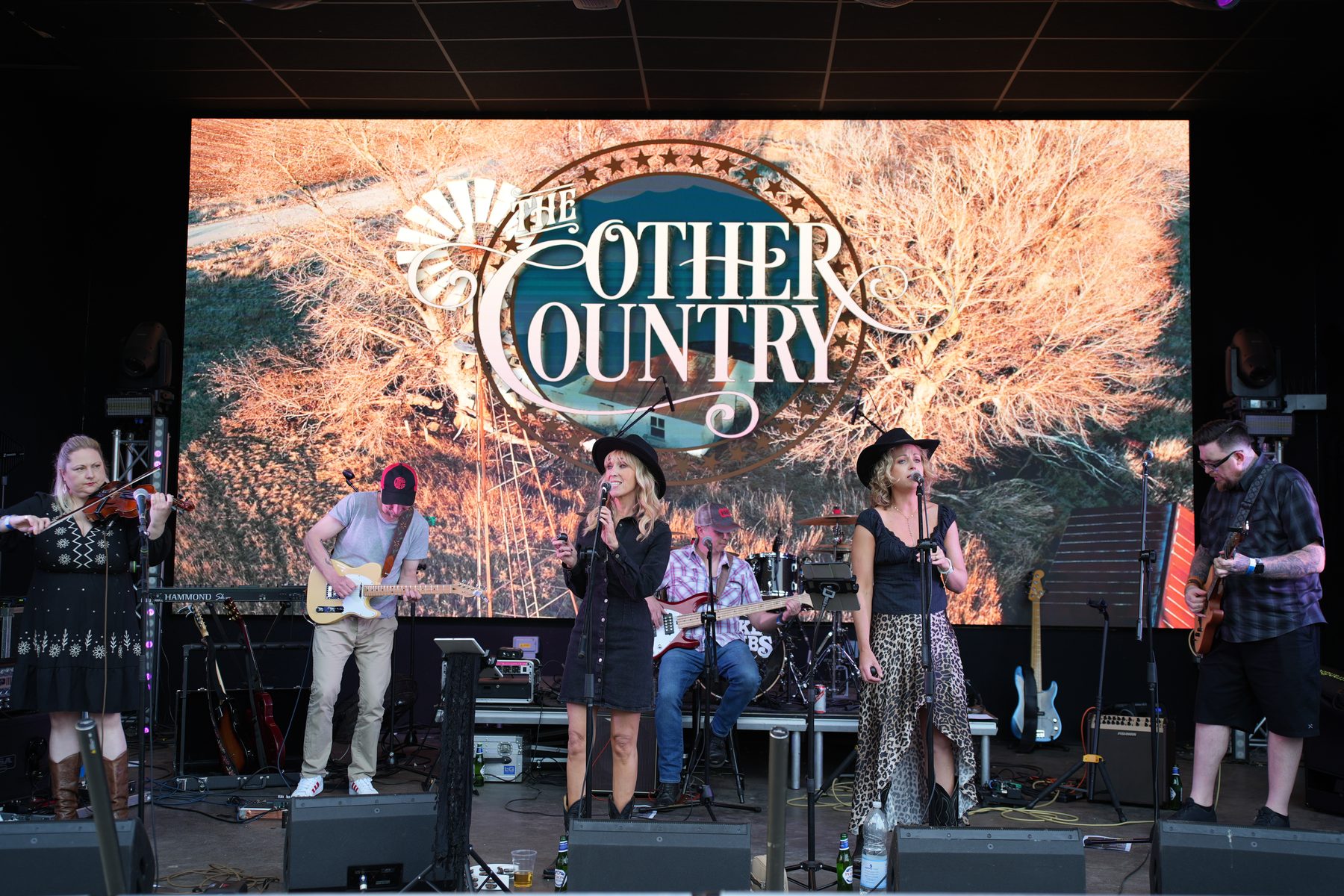 The Other Country Band, a six‑piece live country band, performing on a festival stage